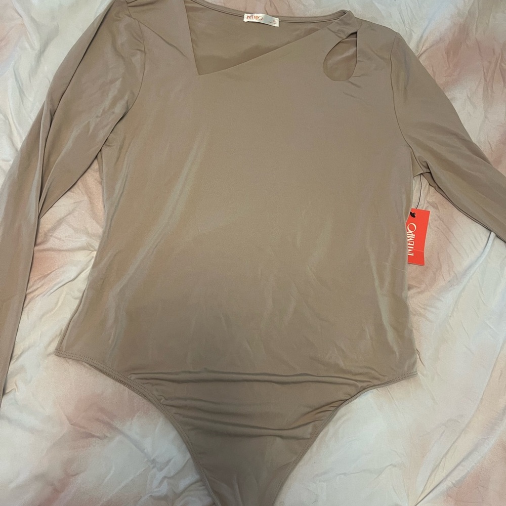 Chic Taupe Bodysuit